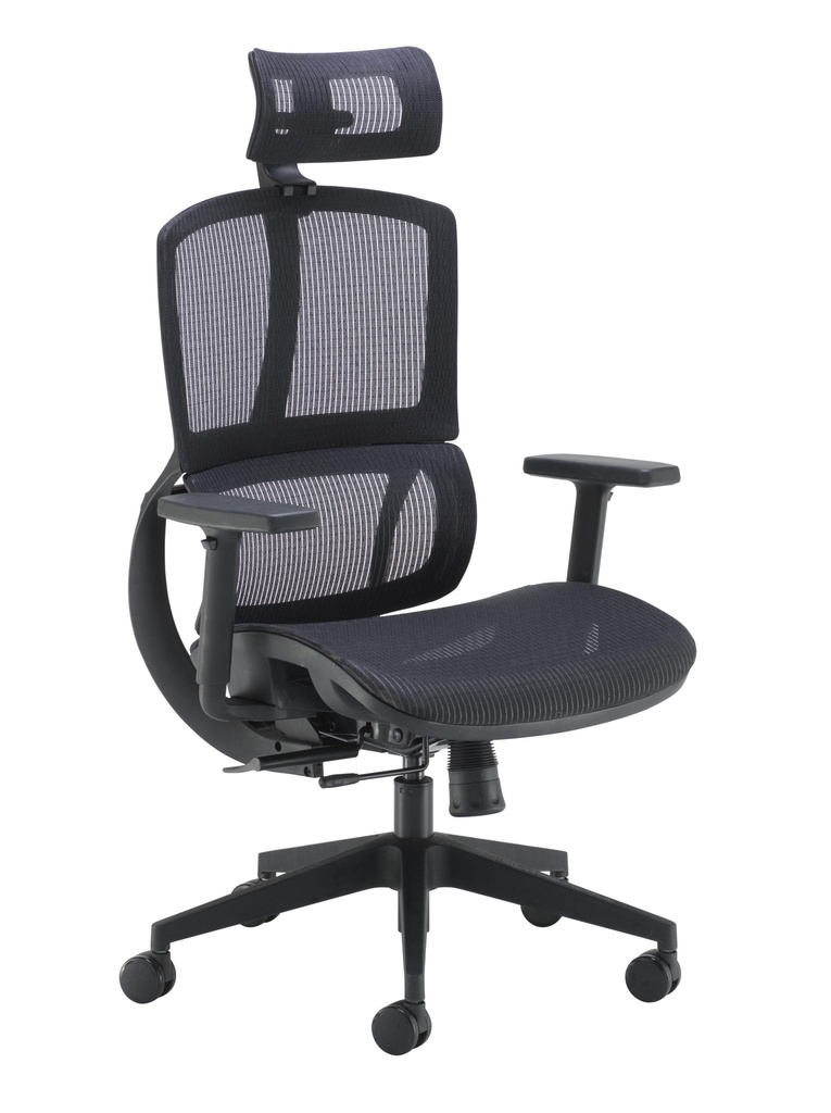 Alto Ergonomic Office Chair